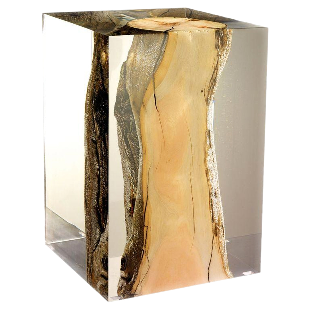 DEEPCAST ??Clear Casting Resin (CER) - Set 15 l