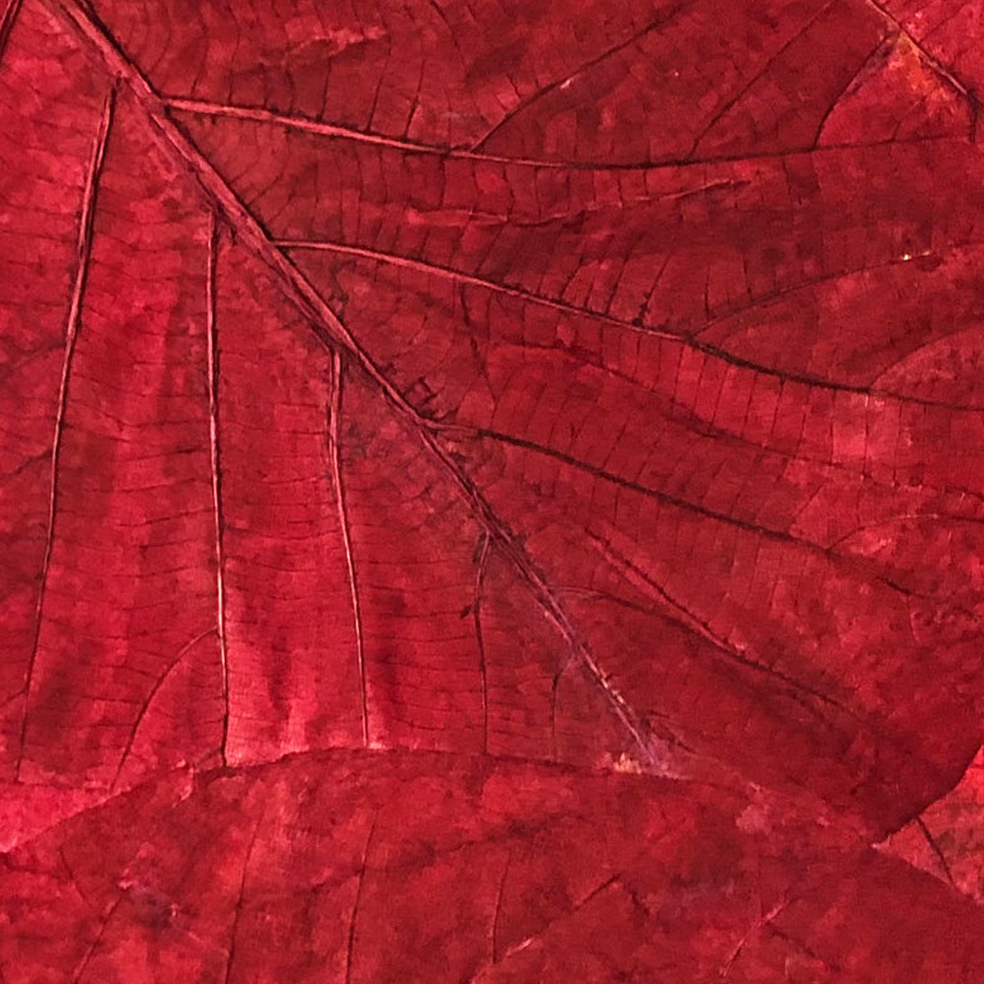 Mulberry Paper Teak Leaf Reddish